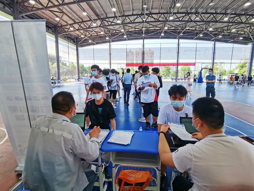 疫情影響下蔡甸職校生 從校門到廠門無縫對(duì)接，職業(yè)中介服務(wù)助力就業(yè)關(guān)